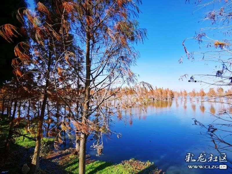 机械迷城
