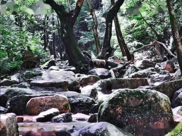 拯救胖男孩