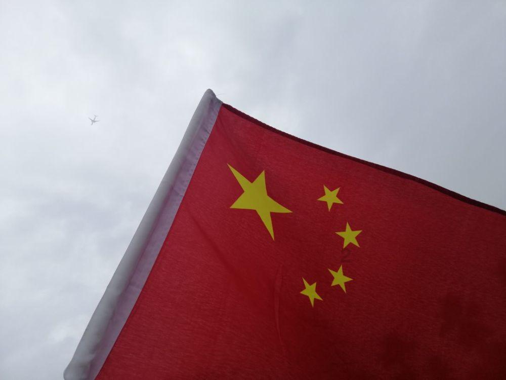 解救金刚鹦鹉