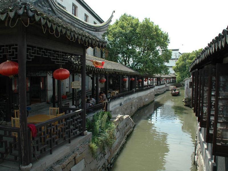 拯救蓝色小鸟